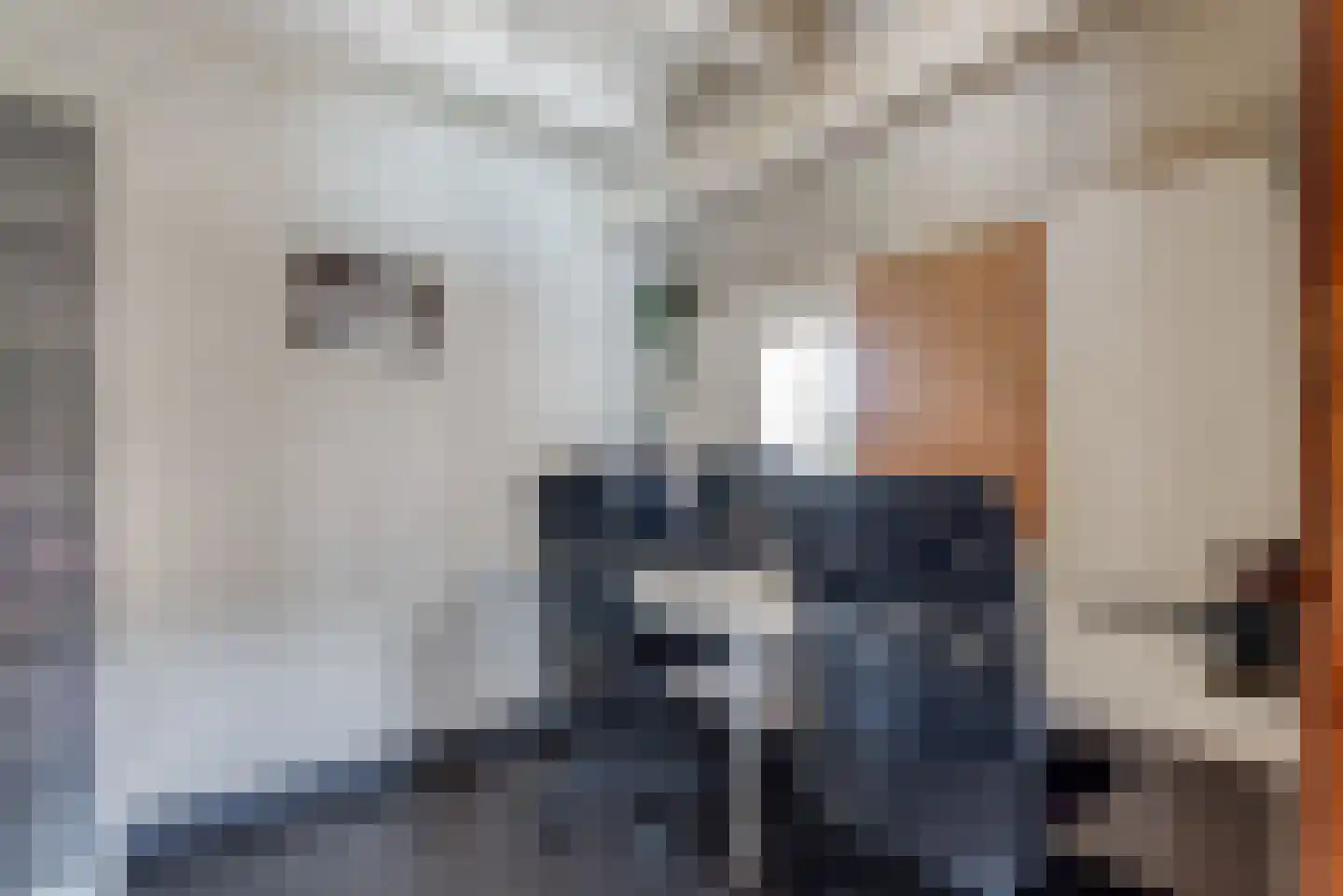 Oosterdallaan 1 Paasloo thumbnail 20