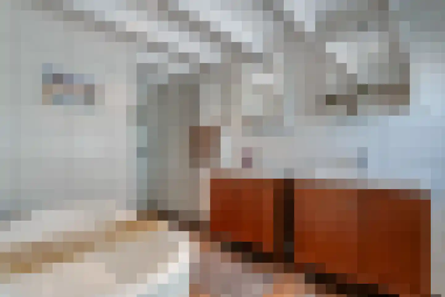Oosterdallaan 1 Paasloo thumbnail 29