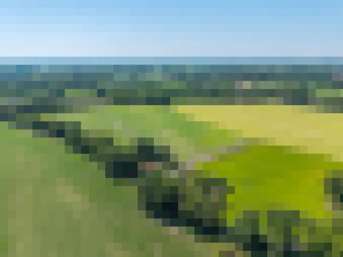 Oosterdallaan 1 Paasloo thumbnail 51