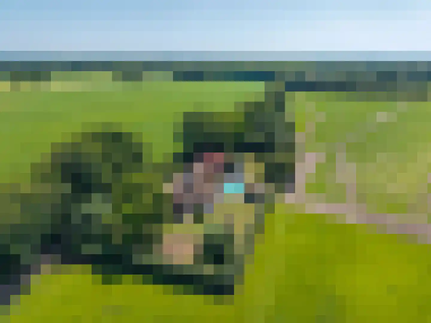 Oosterdallaan 1 Paasloo thumbnail 52