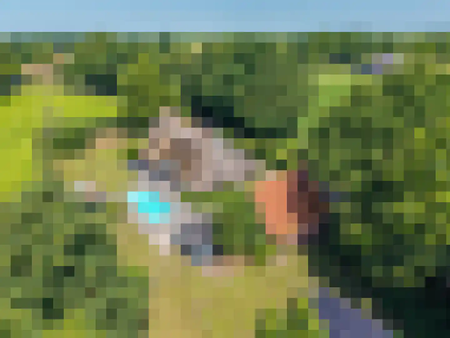 Oosterdallaan 1 Paasloo thumbnail 55