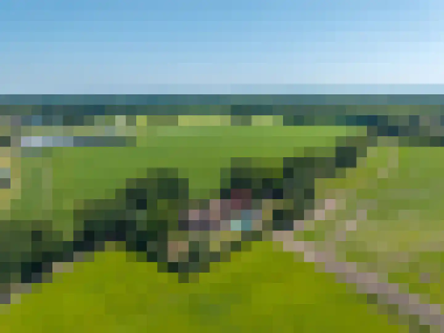 Oosterdallaan 1 Paasloo thumbnail 59