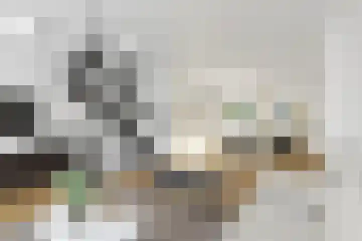 Oosterdiep 11 Dordrecht thumbnail 11
