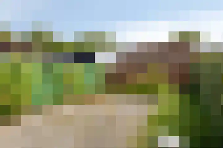 Oosterdiep 11 Dordrecht thumbnail 27