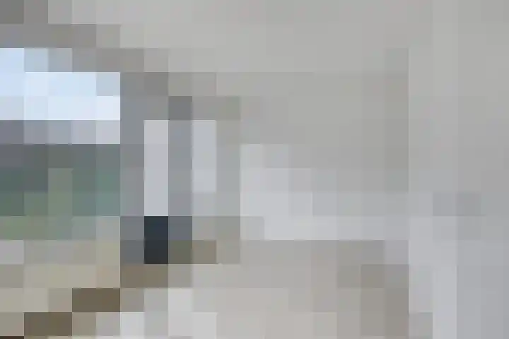 Oosterdiep 11 Dordrecht thumbnail 6