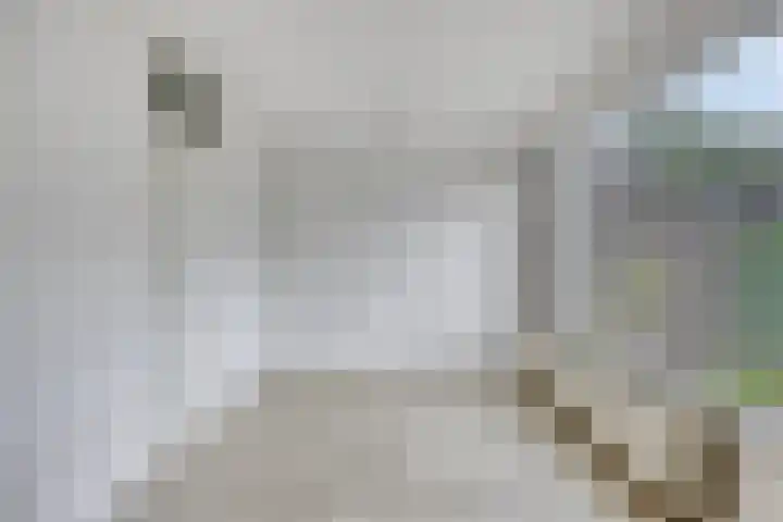 Oosterdiep 11 Dordrecht thumbnail 7