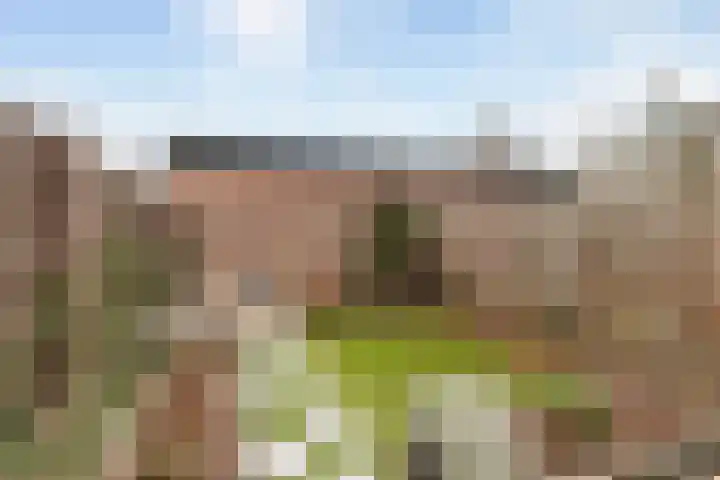 Oosterdiep 21 Dordrecht thumbnail 20