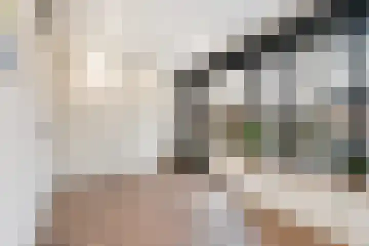 Oosterdiep 21 Dordrecht thumbnail 4