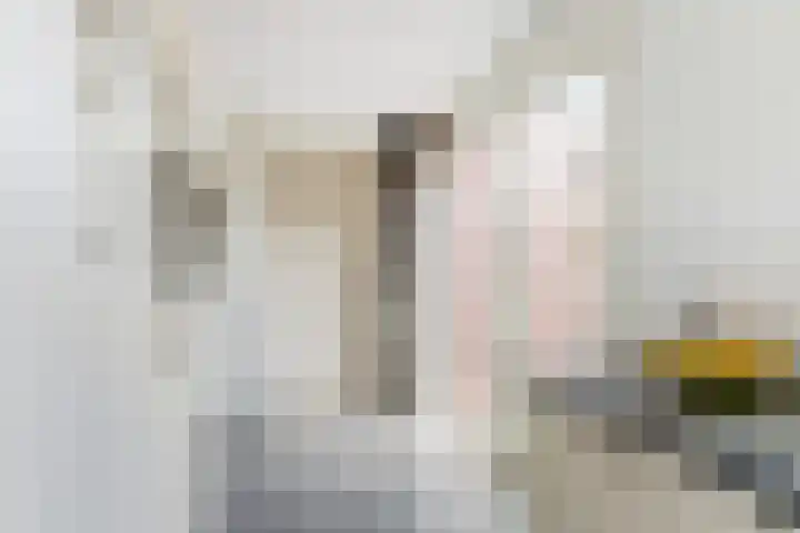 Oosterdiep OZ 100 Emmer-Compascuum thumbnail 12