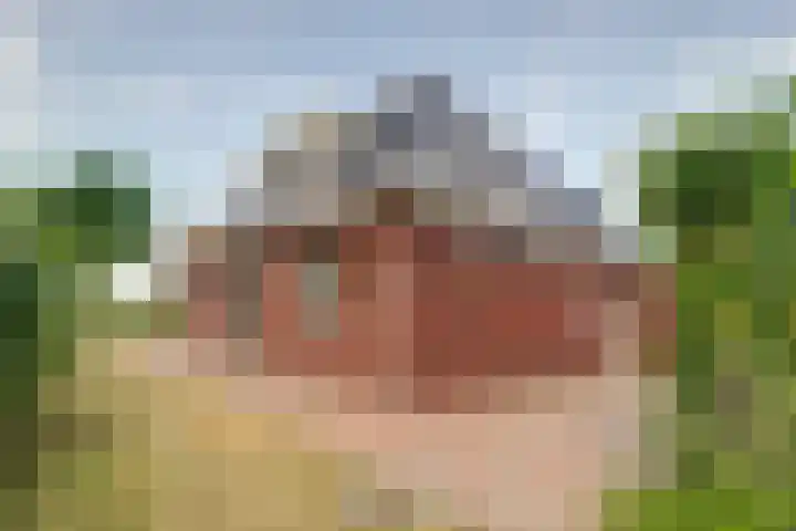 Oosterdiep OZ 100 Emmer-Compascuum thumbnail 33