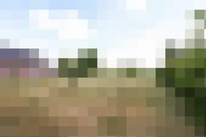 Oosterdiep OZ 100 Emmer-Compascuum thumbnail 34