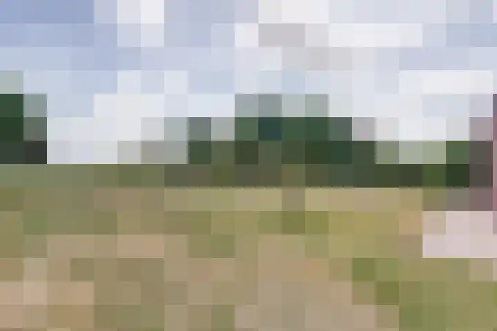 Oosterdiep OZ 100 Emmer-Compascuum thumbnail 35