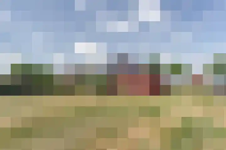 Oosterdiep OZ 100 Emmer-Compascuum thumbnail 38