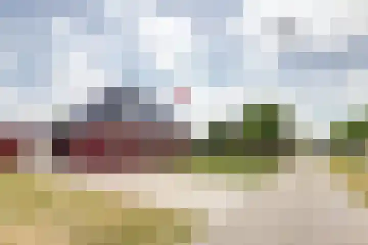 Oosterdiep OZ 100 Emmer-Compascuum thumbnail 40