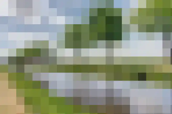 Oosterdiep OZ 100 Emmer-Compascuum thumbnail 41
