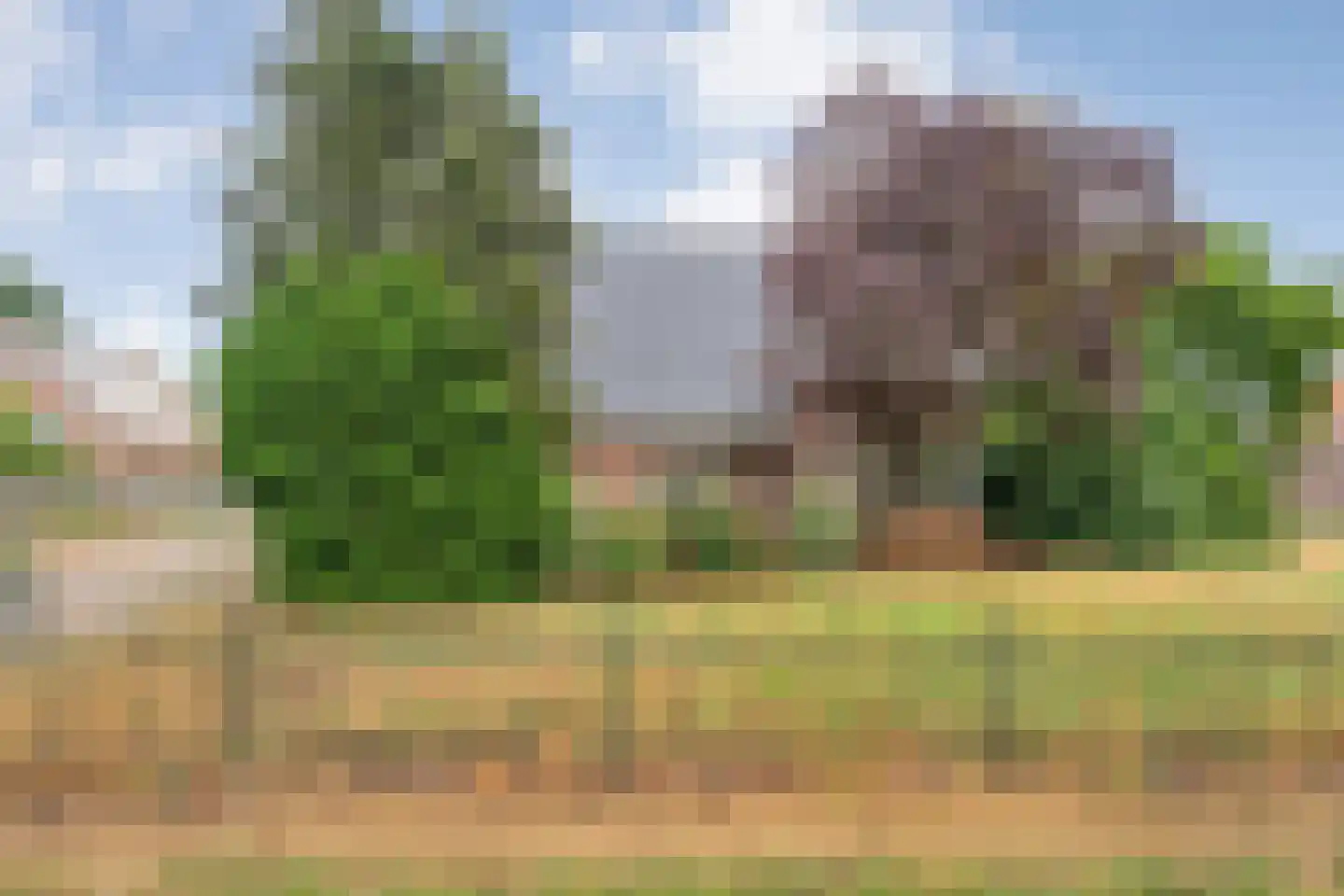Oosterdiep OZ 30 Emmer-Compascuum thumbnail 14