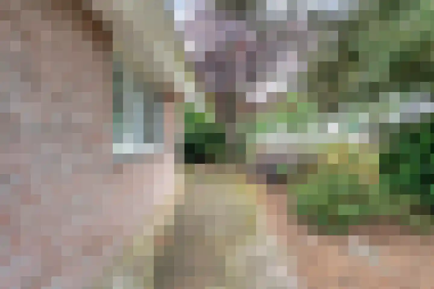Oosterdiep OZ 30 Emmer-Compascuum thumbnail 48