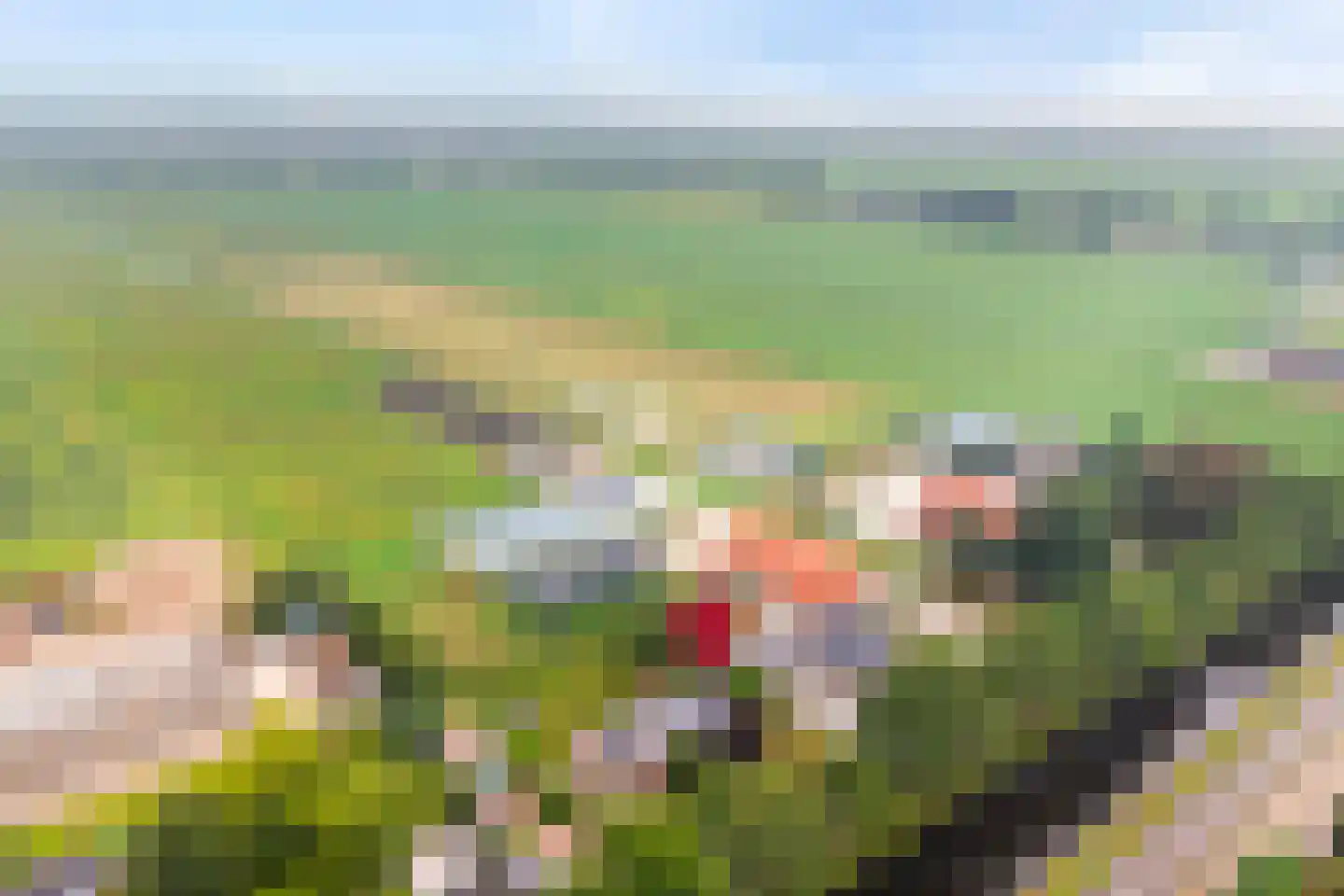 Oosterdiep OZ 30 Emmer-Compascuum thumbnail 9