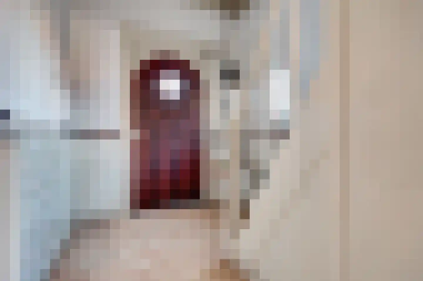 Oosterdiep OZ 4 Emmer-Compascuum thumbnail 20