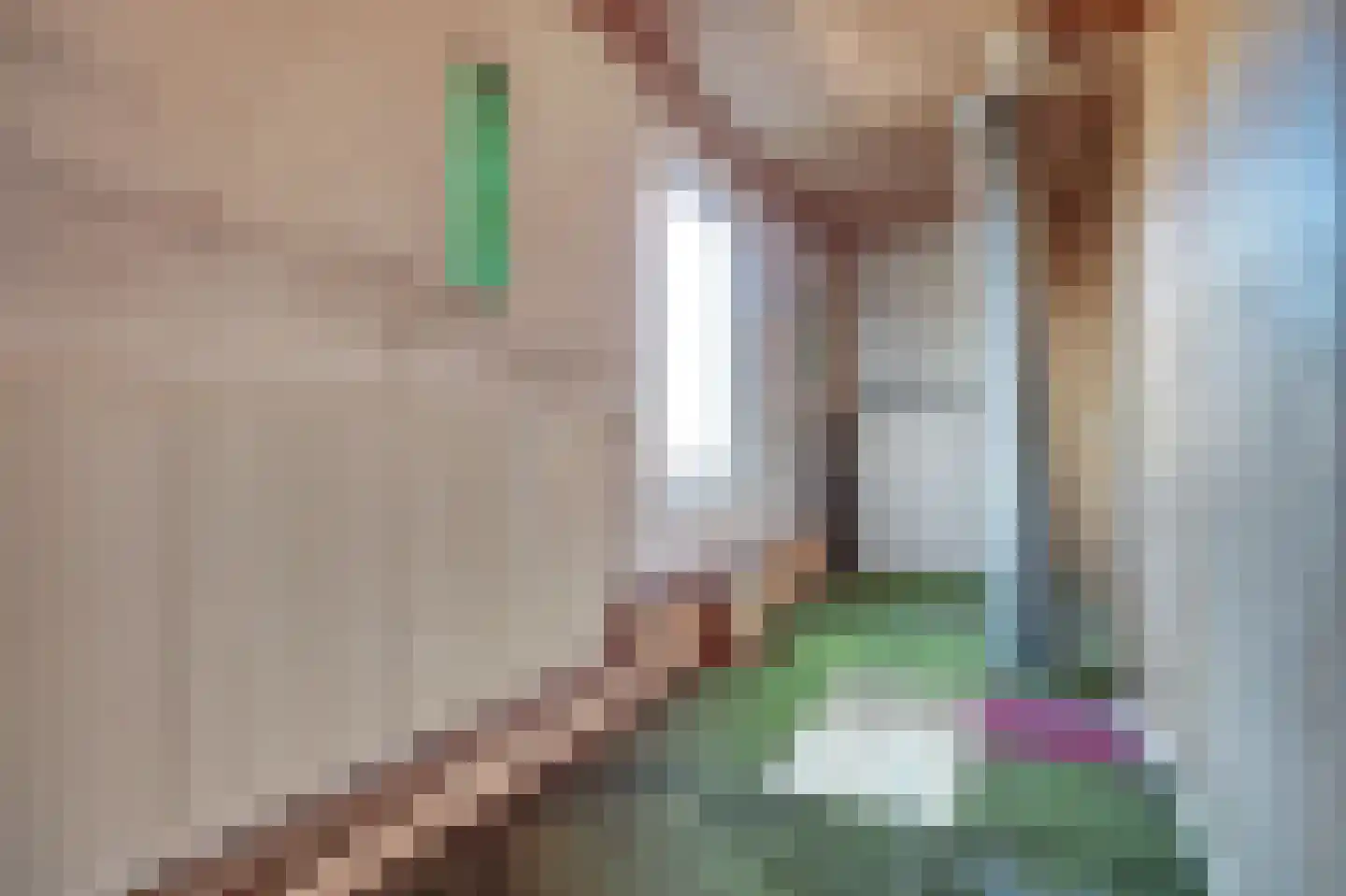 Oosterdiep OZ 4 Emmer-Compascuum thumbnail 30