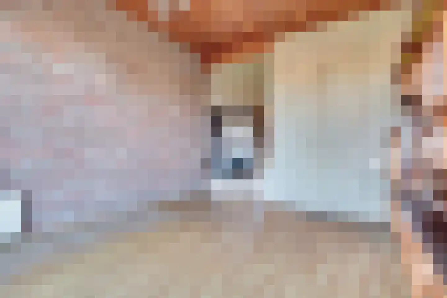 Oosterdiep OZ 4 Emmer-Compascuum thumbnail 5