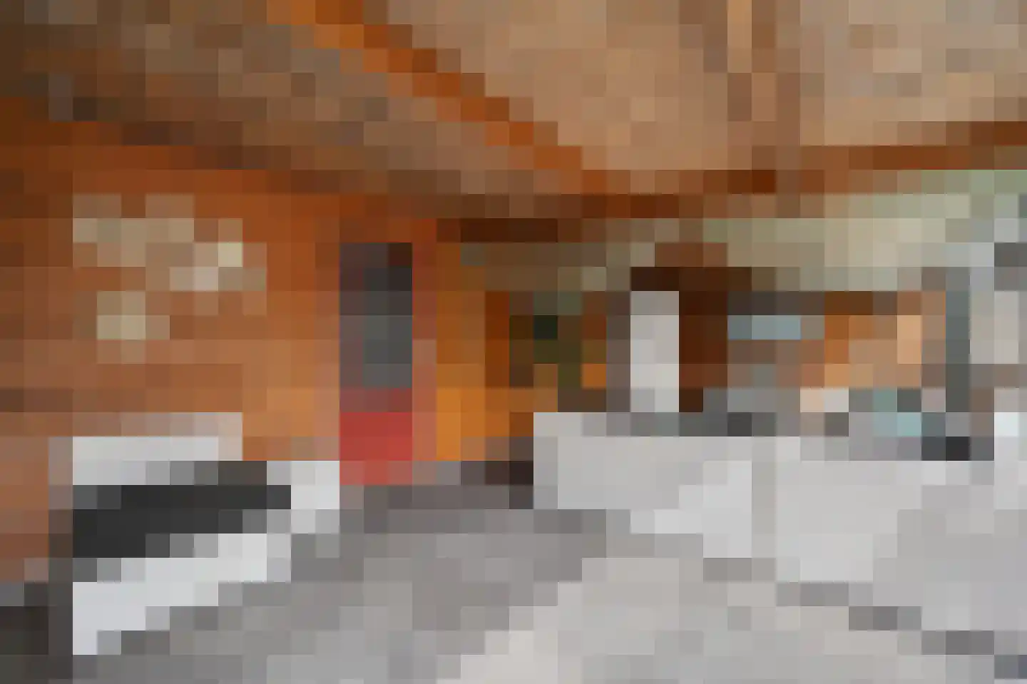 Oosterdiep OZ 93 Emmer-Compascuum thumbnail 36
