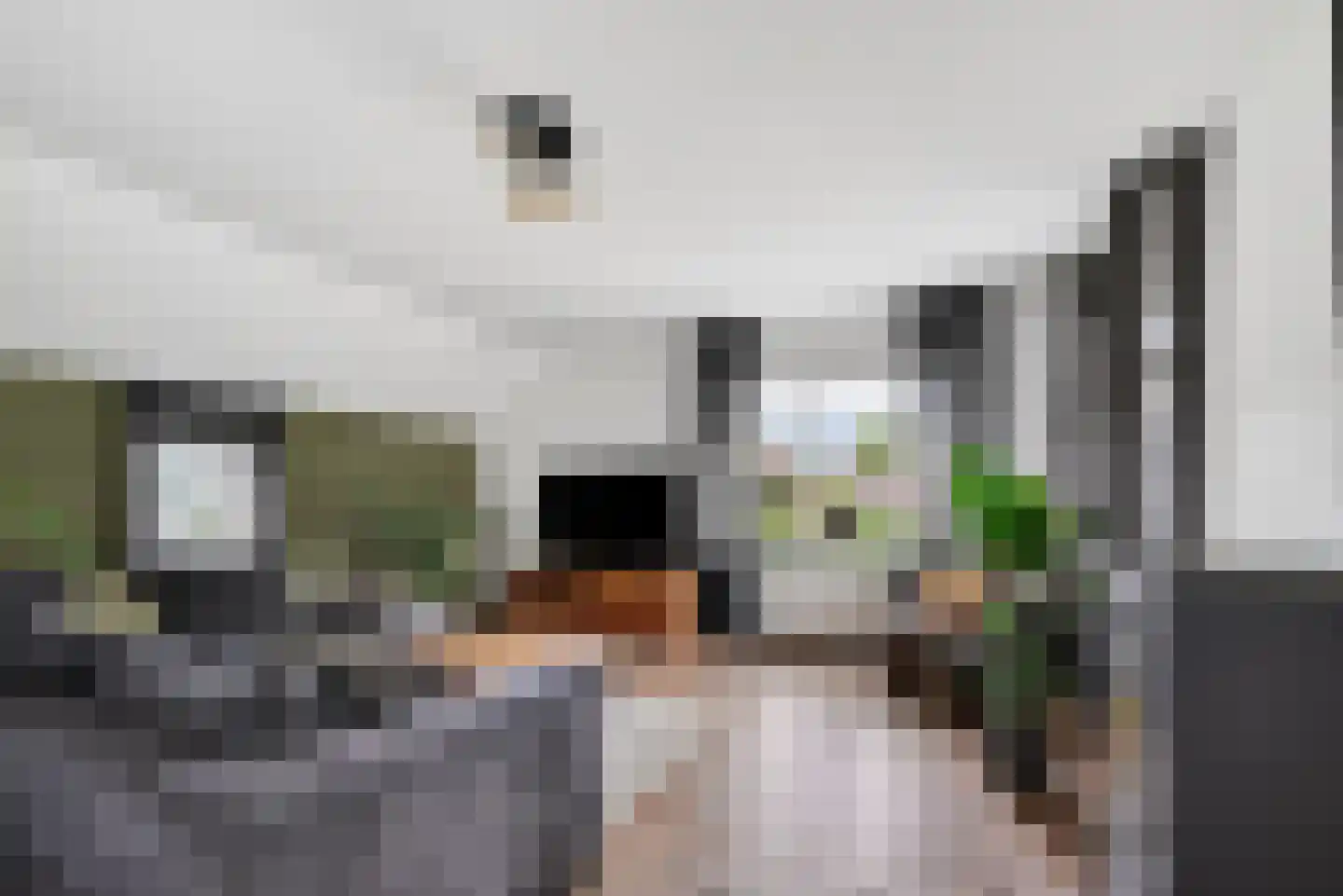 Oosterdiep OZ 93 Emmer-Compascuum thumbnail 9