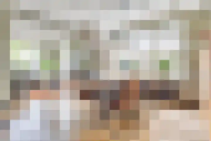 Oosterdiep WZ 115 Emmer-Compascuum thumbnail 10