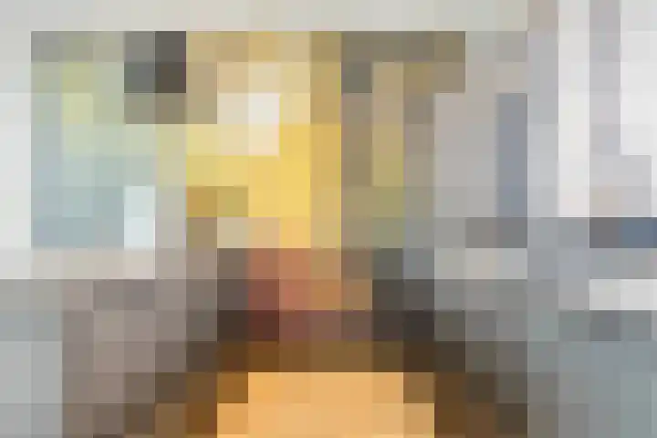 Oosterdiep WZ 115 Emmer-Compascuum thumbnail 16