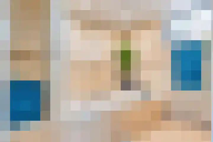 Oosterdiep WZ 115 Emmer-Compascuum thumbnail 20