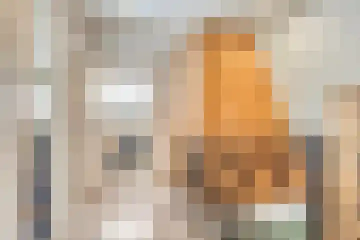 Oosterdiep WZ 115 Emmer-Compascuum thumbnail 23