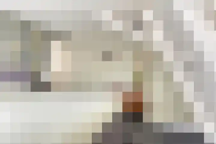 Oosterdiep WZ 115 Emmer-Compascuum thumbnail 25