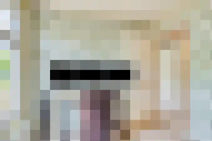 Oosterdiep WZ 115 Emmer-Compascuum thumbnail 29