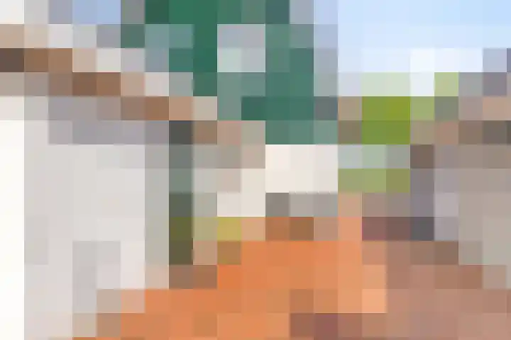 Oosterdiep WZ 115 Emmer-Compascuum thumbnail 33