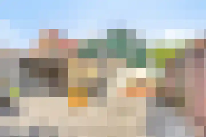 Oosterdiep WZ 115 Emmer-Compascuum thumbnail 34