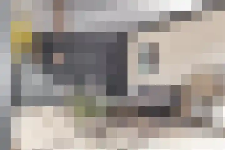 Oosterdiep WZ 115 Emmer-Compascuum thumbnail 35