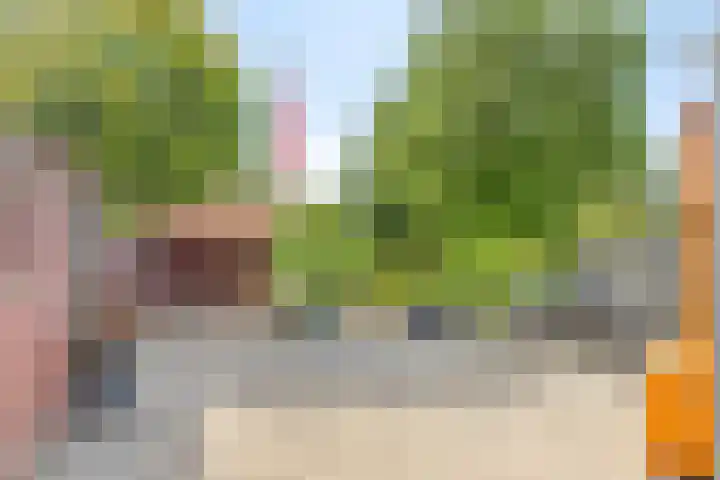 Oosterdiep WZ 115 Emmer-Compascuum thumbnail 38