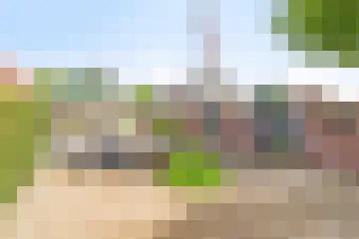 Oosterdiep WZ 115 Emmer-Compascuum thumbnail 39