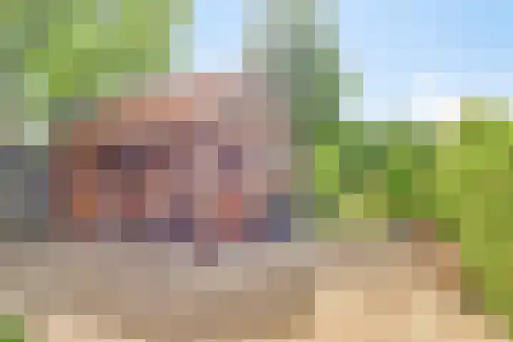 Oosterdiep WZ 115 Emmer-Compascuum thumbnail 40