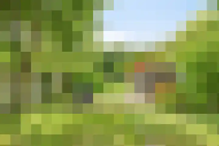 Oosterdiep WZ 115 Emmer-Compascuum thumbnail 41