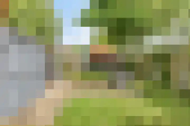 Oosterdiep WZ 115 Emmer-Compascuum thumbnail 42
