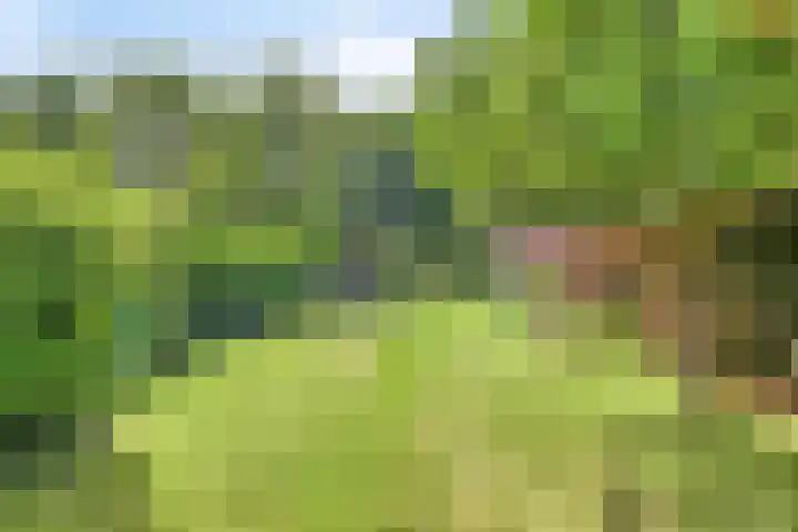 Oosterdiep WZ 115 Emmer-Compascuum thumbnail 43