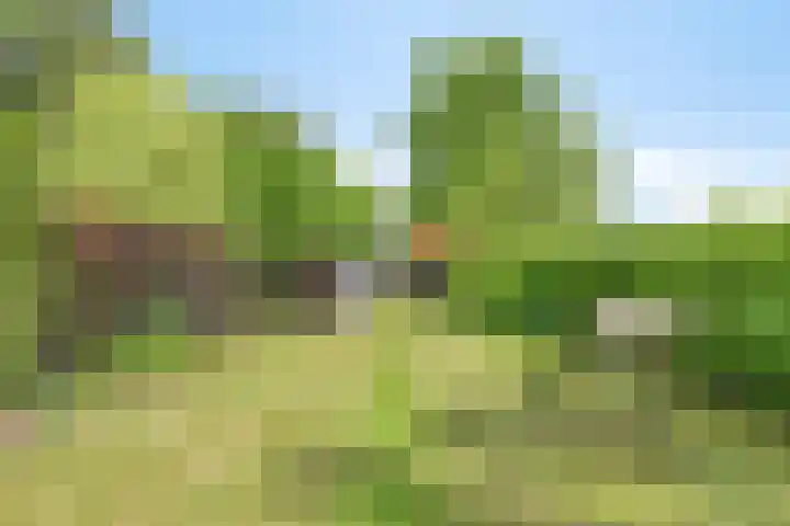 Oosterdiep WZ 115 Emmer-Compascuum thumbnail 44