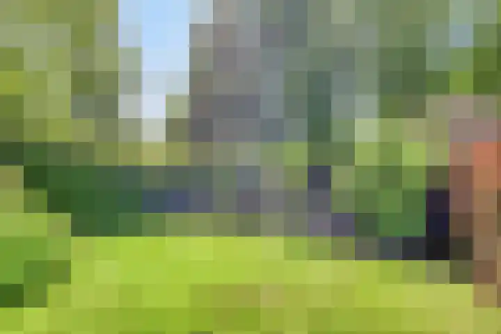 Oosterdiep WZ 115 Emmer-Compascuum thumbnail 45