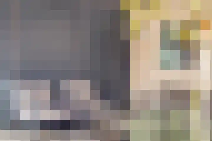 Oosterdiep WZ 115 Emmer-Compascuum thumbnail 46