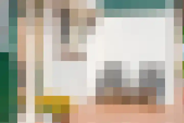 Oosterdiep WZ 115 Emmer-Compascuum thumbnail 47