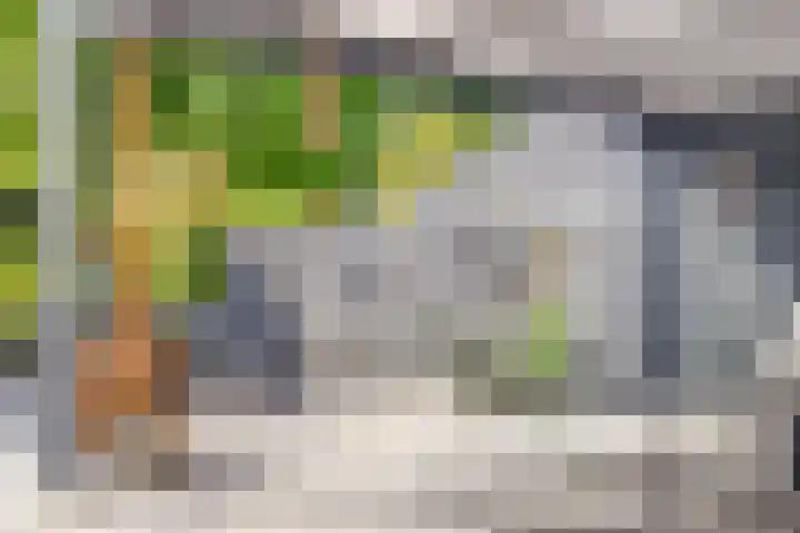 Oosterdiep WZ 115 Emmer-Compascuum thumbnail 48