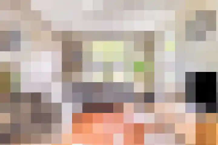 Oosterdiep WZ 115 Emmer-Compascuum thumbnail 5