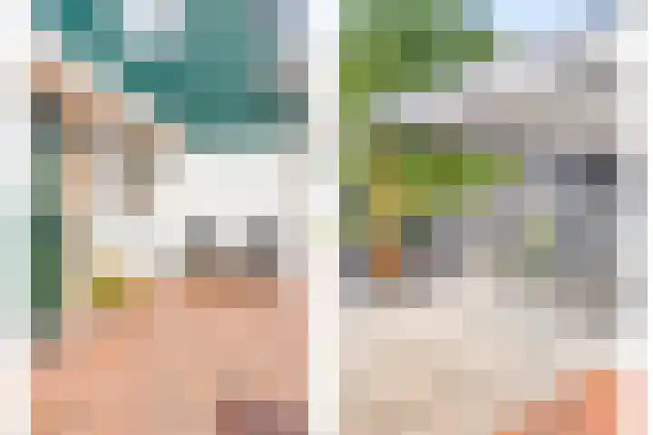 Oosterdiep WZ 115 Emmer-Compascuum thumbnail 53