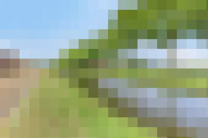 Oosterdiep WZ 115 Emmer-Compascuum thumbnail 55